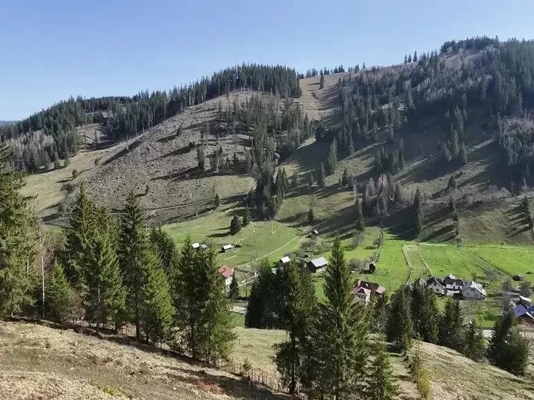 Teren de 32589 mp, în Pojorâta