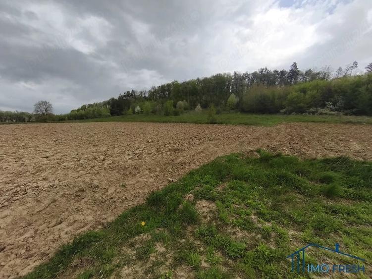 Teren de 8300 mp, în Măriței
