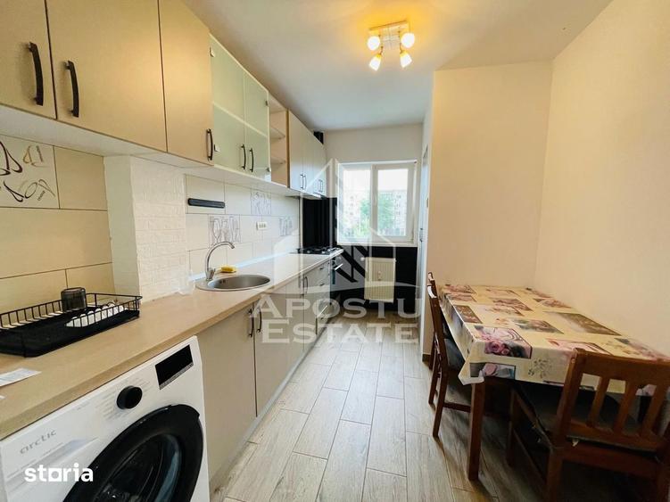 Apartament cu 2 camere în Șega