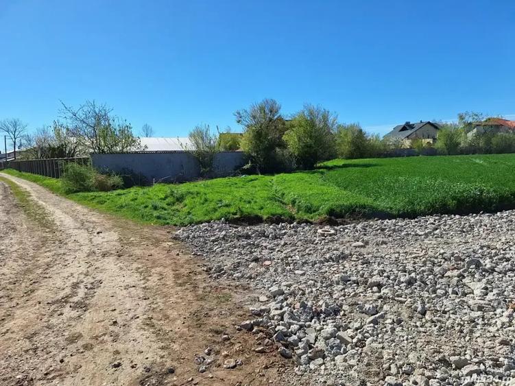 Teren de 460 mp, în Dascălu