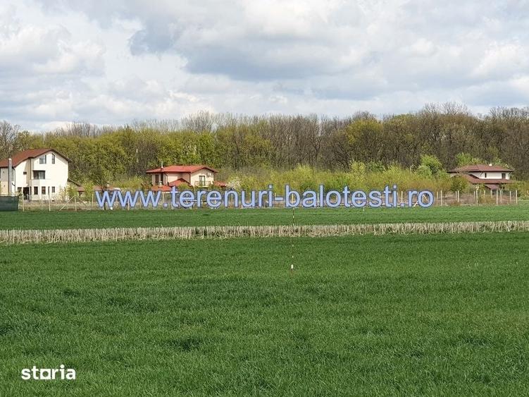 Teren de 800 mp, în Balotești