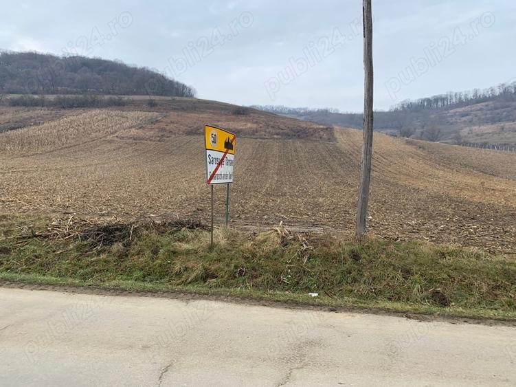 Teren de 5800 mp, în Șaroș pe Târnave