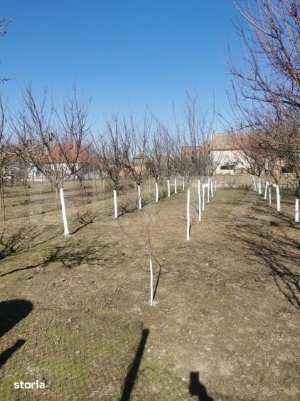 Casă cu 6 camere cu Teren 1500 Mp în Central