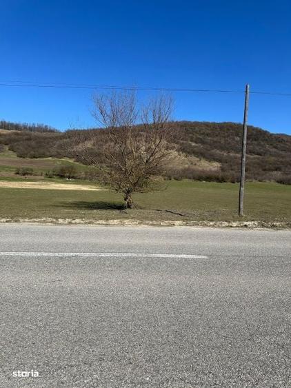 Spațiu comercial, în Mănăstirea