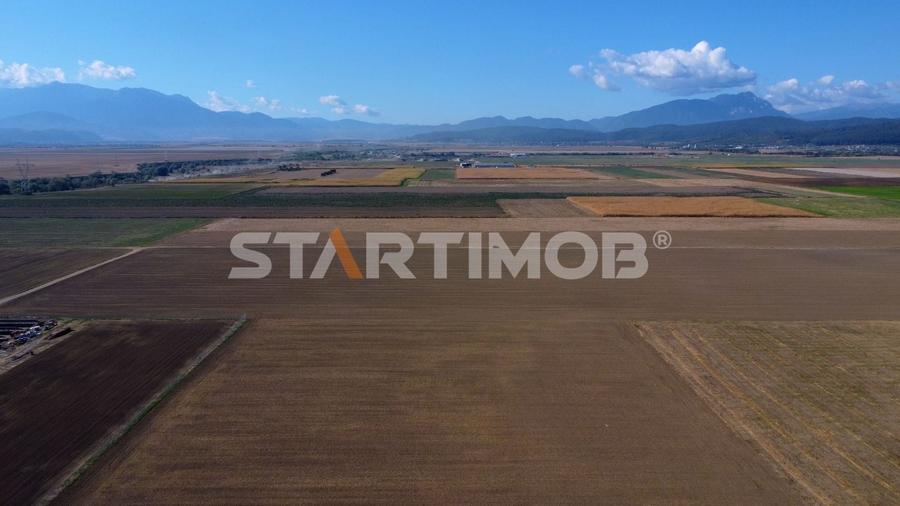 Teren agricol extravilan de 19739 mp, în Exterior Sud