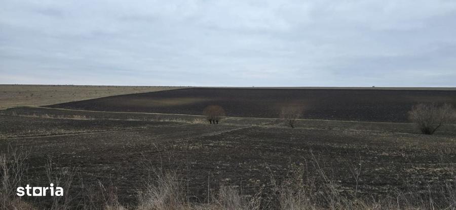 Teren de 3700 mp, în Zăpodeni