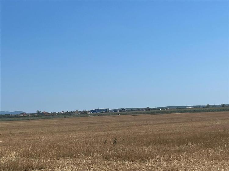 Teren agricol extravilan de 44000 mp, în Olcea