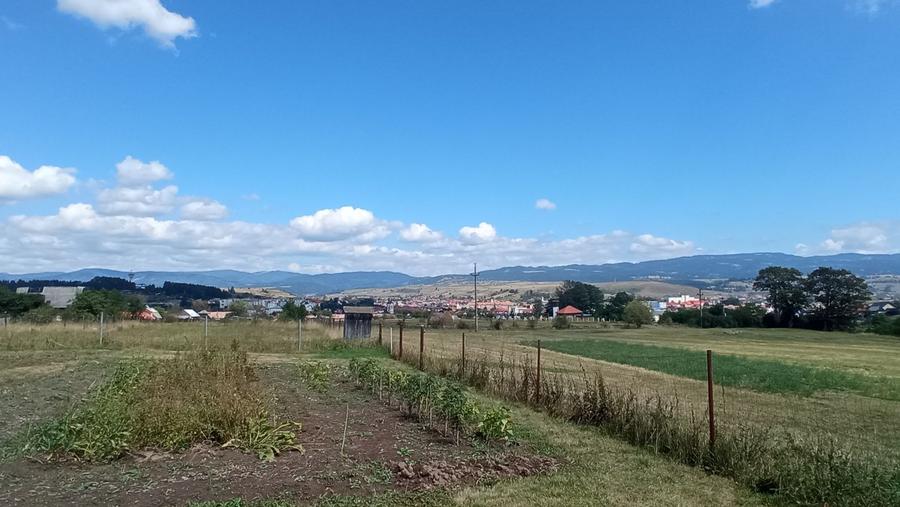 Casa de vanzare zona panoramica Toplita Imobiliare - 7