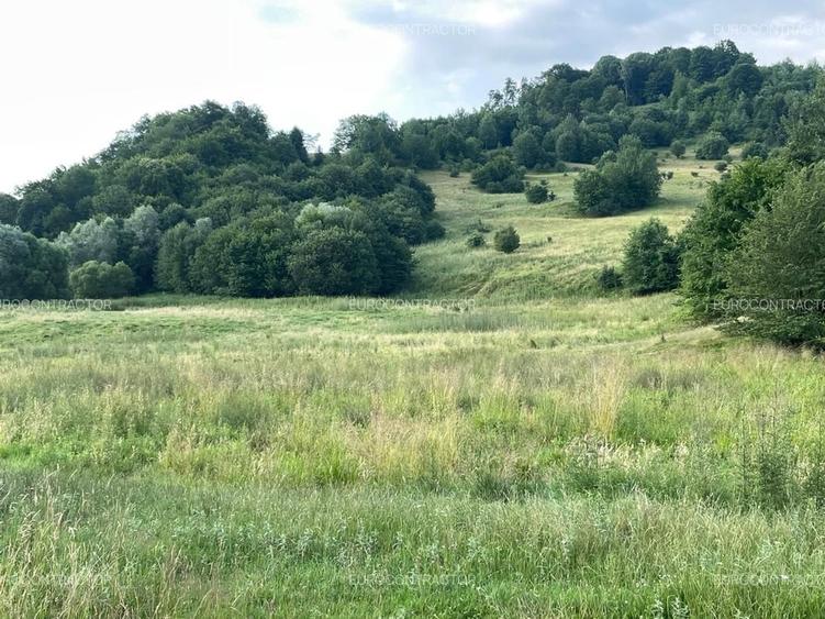 Teren Construcții intravilan de 93500 mp, în Râșnov Romacril