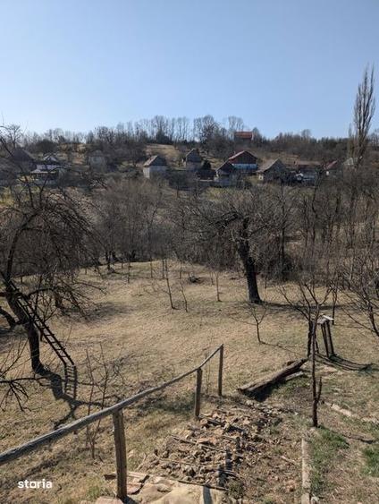 Teren de 2784 mp, în Căpușu Mare