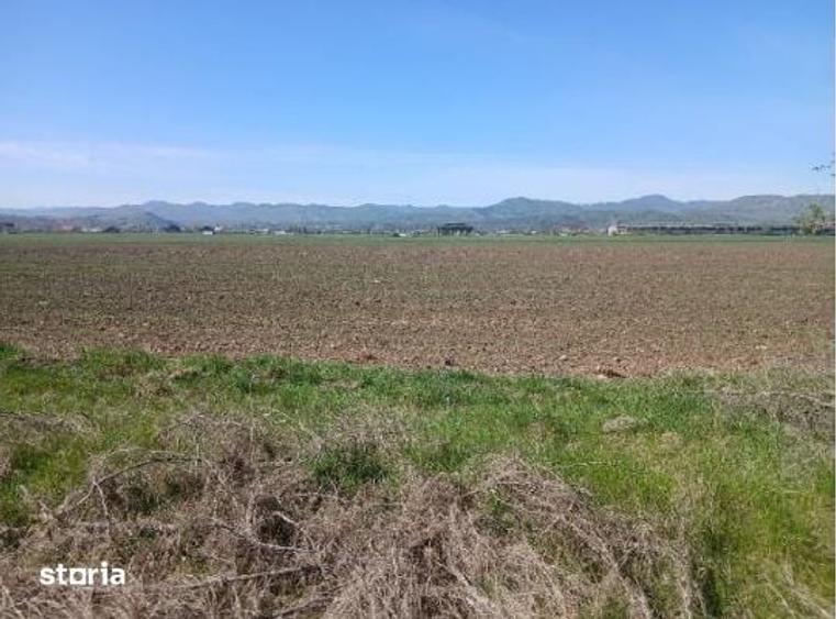Teren de 3600 mp, în Central