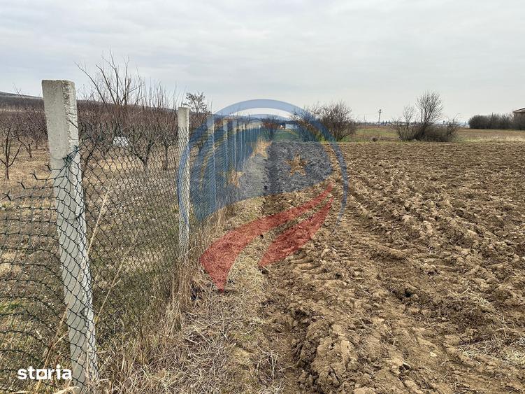 Teren de 935 mp, în Brădești