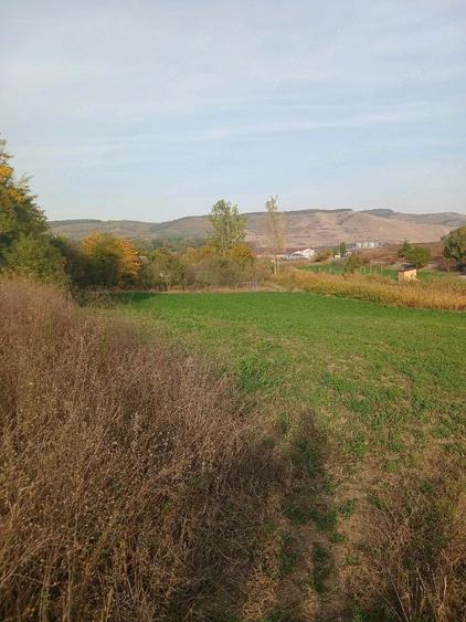 Teren de 1600 mp, în Mănărade