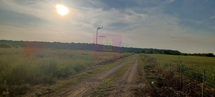 Teren în Nord