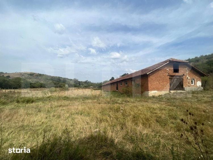 Teren de 3000 mp, în Brădești