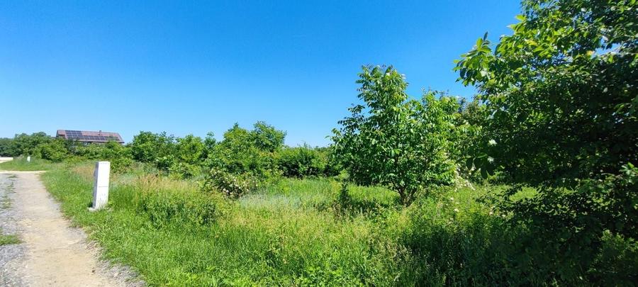 Teren Construcții intravilan de 1030 mp, în Corbeanca