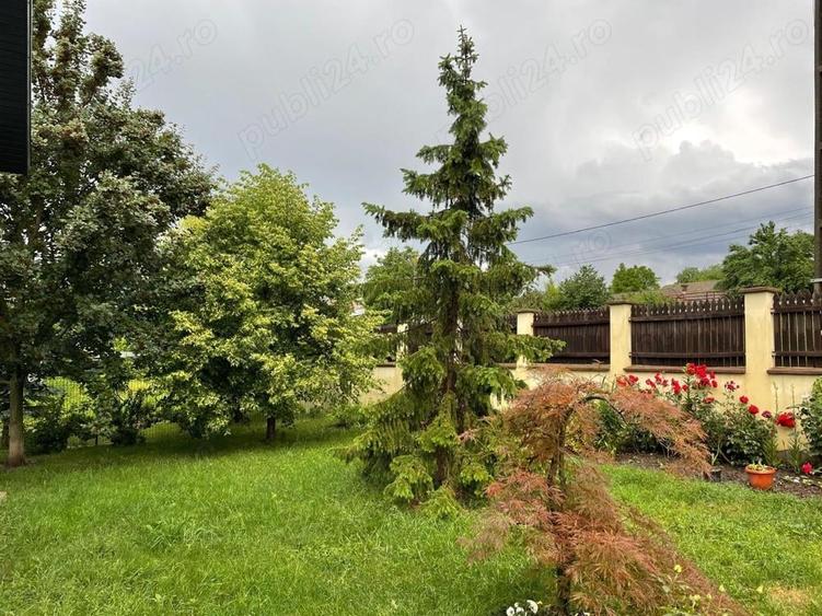 Casă cu Teren 5500 Mp în Dulcești