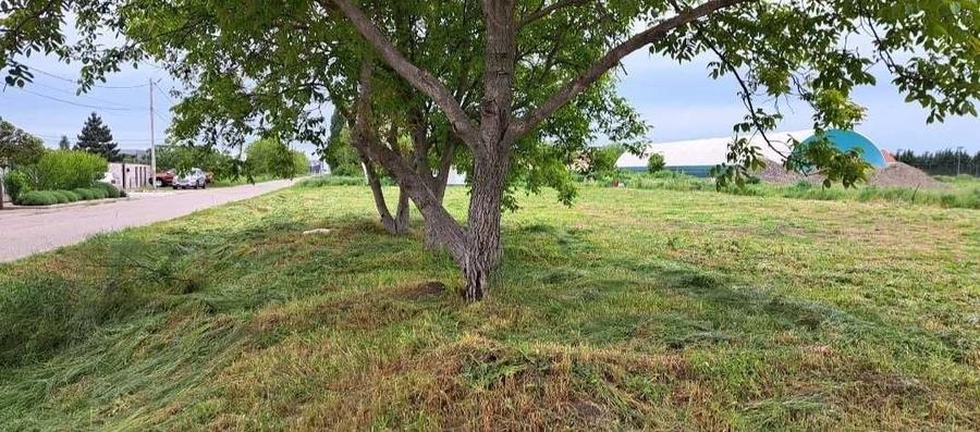 Teren de 488 mp, în Vladimirescu