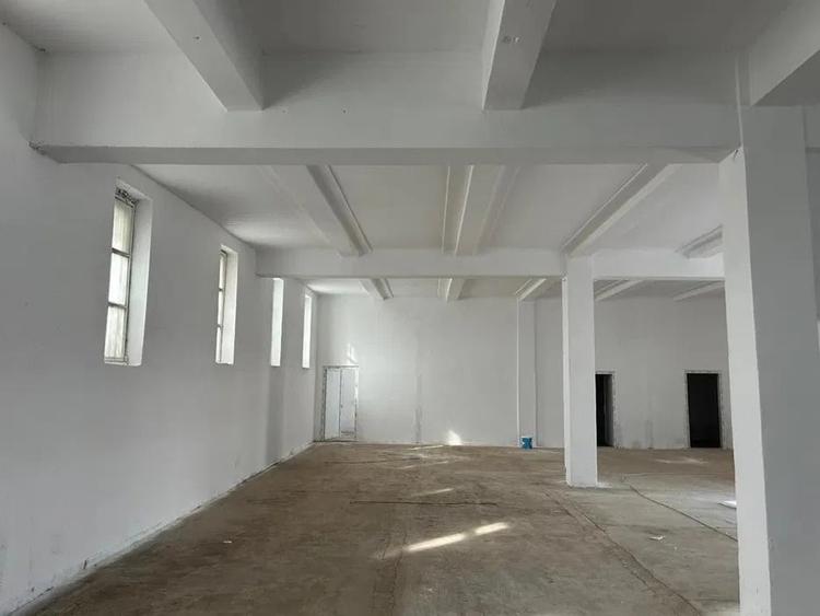 Spațiu industrial, de 1,300 mp, în Brestei