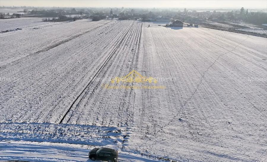 Teren, 7470 mp Trestieni Ulmi si casa