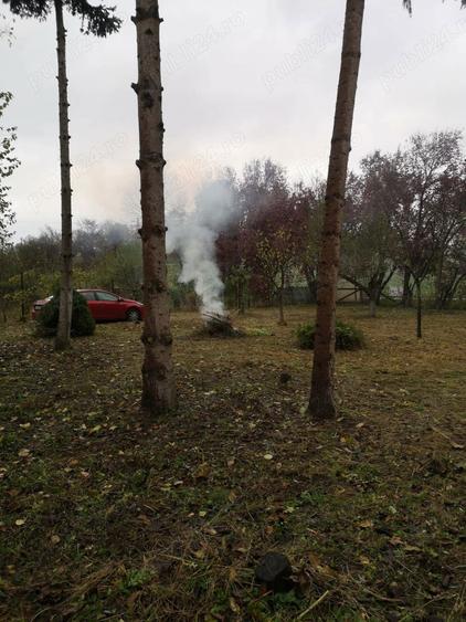 Casă cu 2 camere în Central