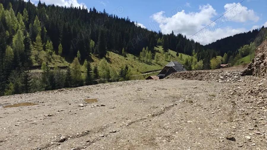 Teren de 1000 mp, în Băișoara