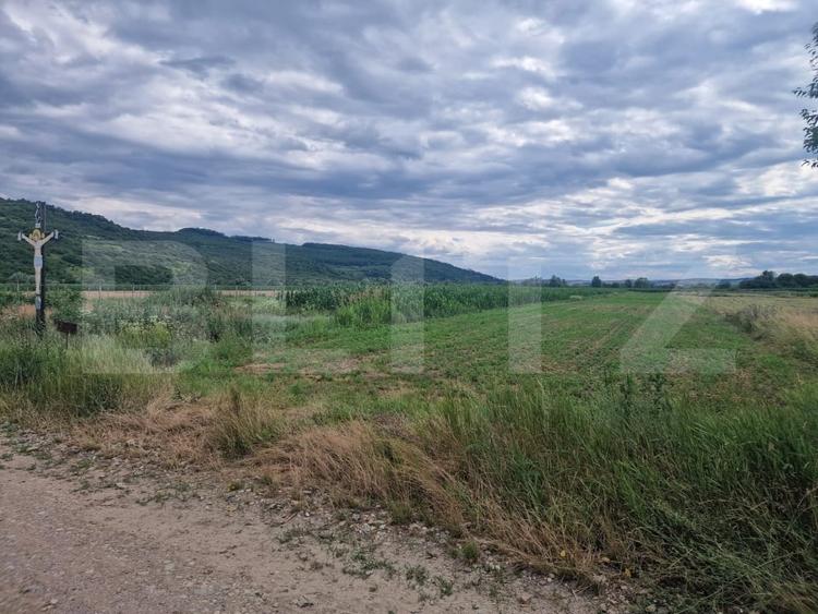 Teren Construcții intravilan de 4300 mp, în Livada (Iclod)