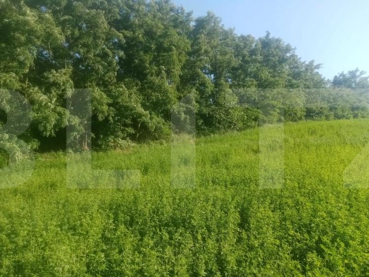 Teren agricol intravilan de 3700 mp, în Brăești