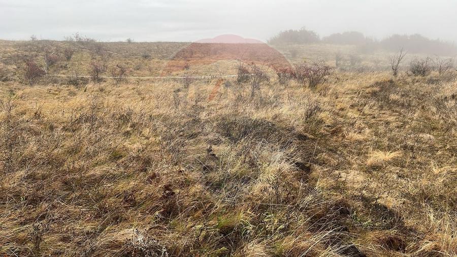 Teren agricol extravilan de 623 mp, în Nord-Est
