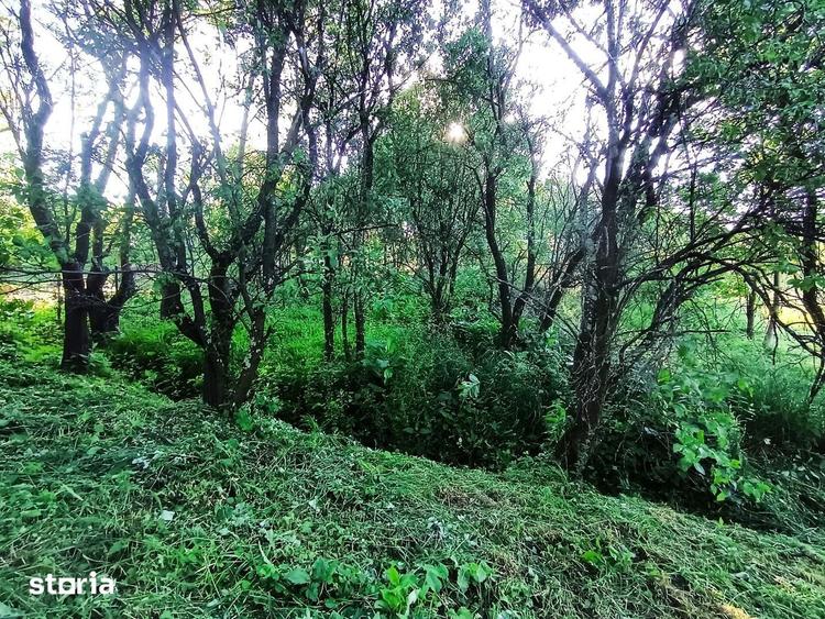 Teren de 1340 mp, în Mihai Viteazu