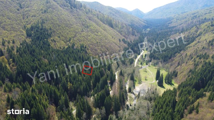 Teren de 983 mp, în Nucșoara