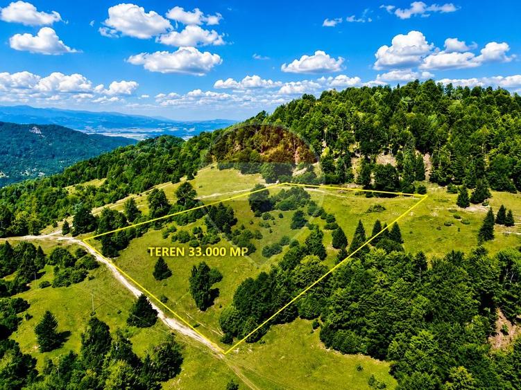 Teren agricol extravilan de 33319 mp, în Vlădeț - Trei Brazi