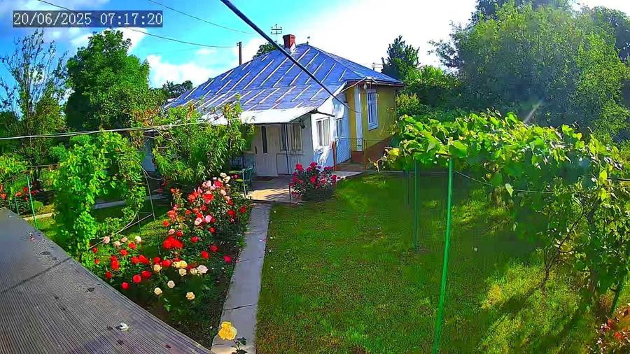 Casă cu 3 camere cu Teren 2700 Mp în Central