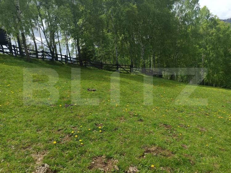 Teren Construcții intravilan de 4649 mp, în Peștera