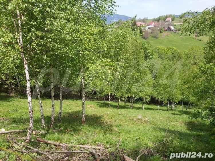 Teren de 2200 mp, în Moieciu