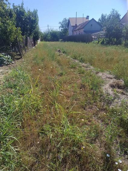 Teren de 2800 mp, în Salcia