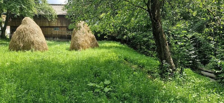 Teren de 1586 mp, în Valea Doftanei