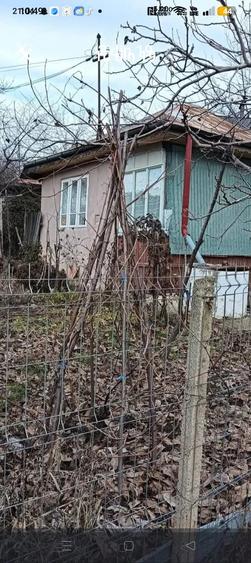 Casă cu 4 camere cu Teren 3500 Mp în Podgoria