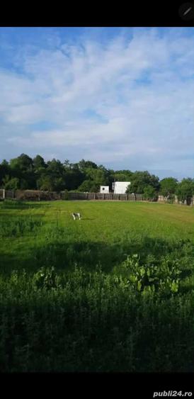 Casă cu 3 camere cu Teren 5000 Mp în Mozăceni