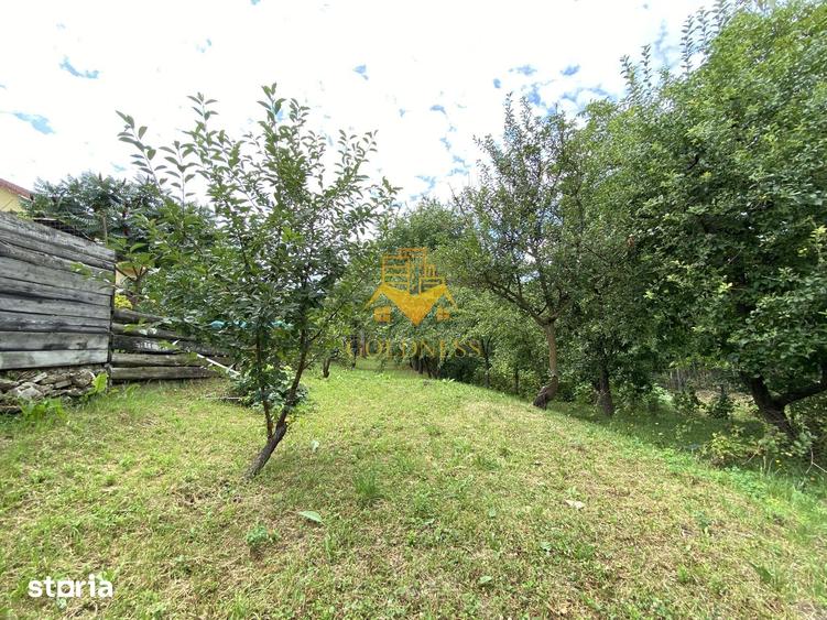 Casă cu 3 camere cu Teren 560 Mp în Bună Ziua