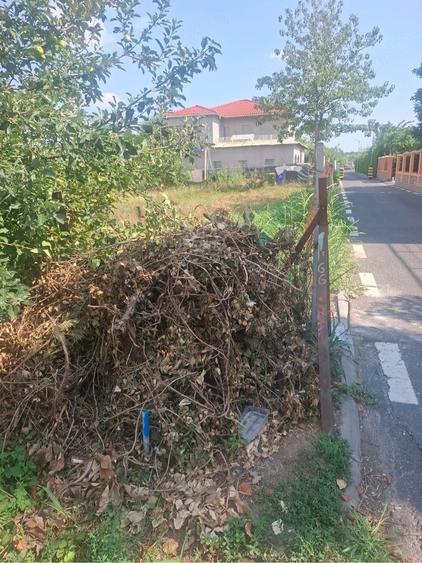 Teren de 650 mp, în Nord