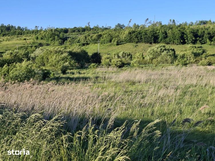 Teren de 4500 mp, în Tureni