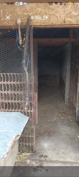 Casă cu 4 camere cu Teren 3500 Mp în Podgoria