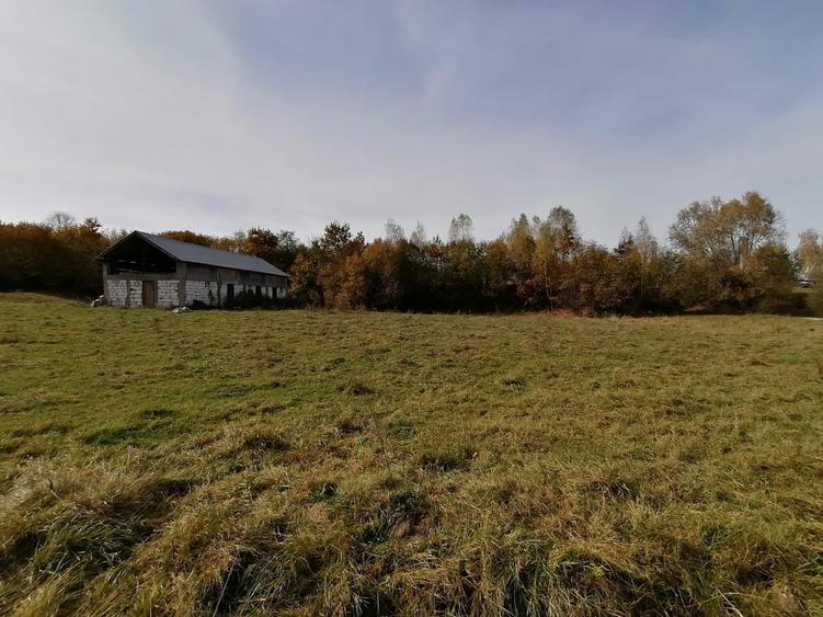 Teren agricol extravilan de 13000 mp, în Sohodol