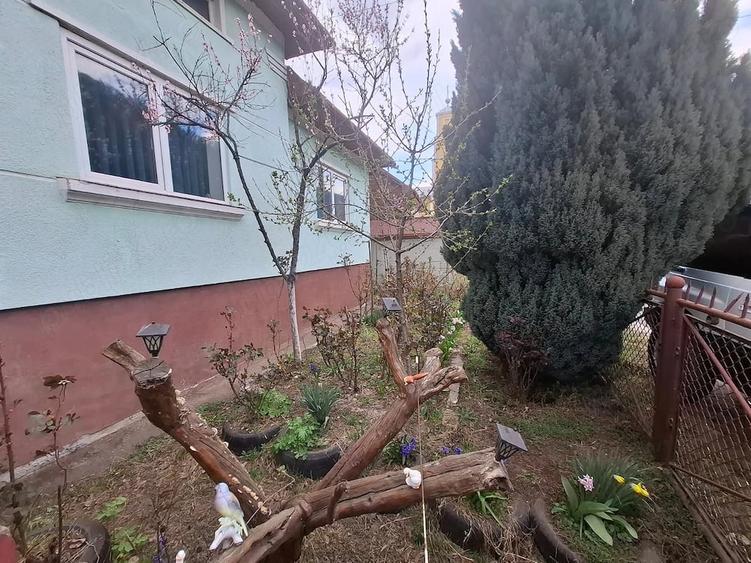 Casă cu 2 camere cu Teren 600 Mp în Central