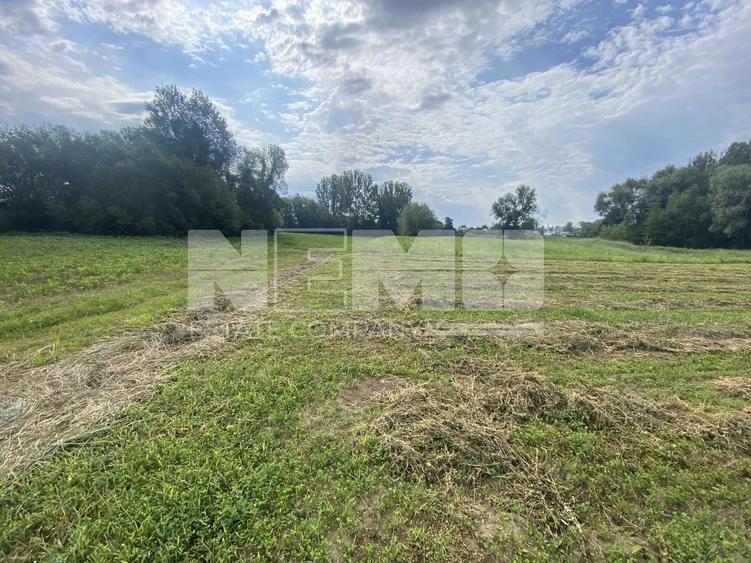 Teren agricol extravilan de 2300 mp, în Satu Mare