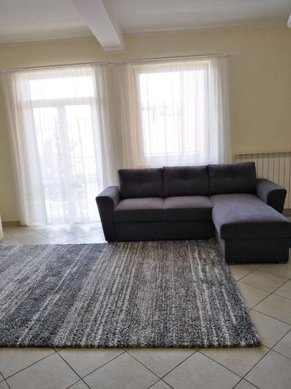Apartament cu 2 camere decomandat în Viișoara