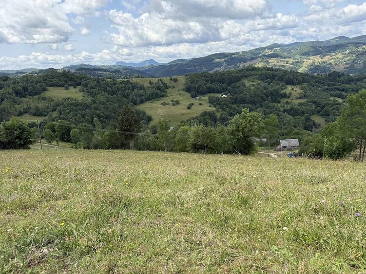 Teren de 5000 mp, în Năpăiești
