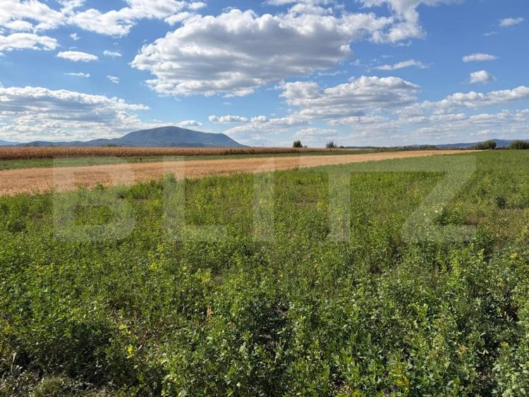 Teren Construcții intravilan de 3300 mp, în Stupini