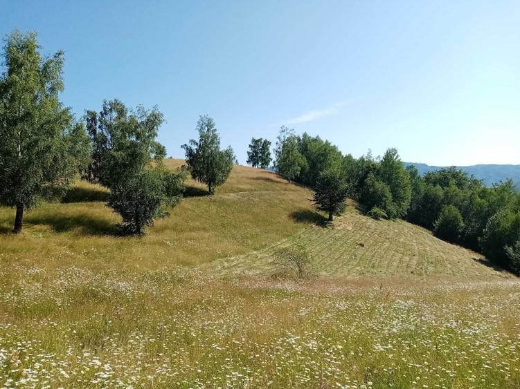 Teren de 22000 mp, în Luncani